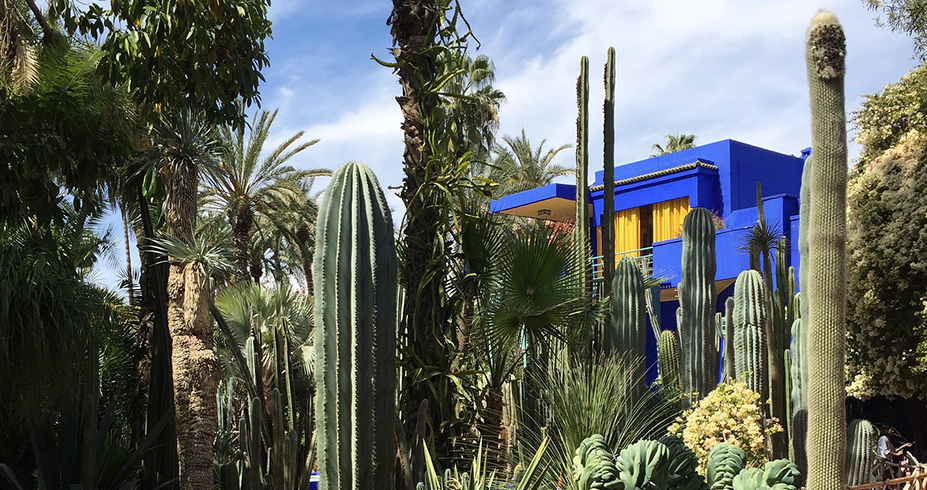 Jardin Majorelle